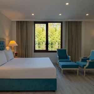 Superior Kamer met een Queen Size Bed